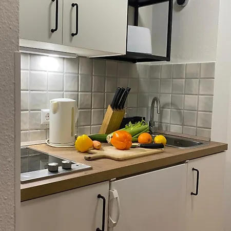 Vauban Schwarzwald Europapark Apartment Freiburg im Breisgau